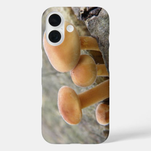 Toadstools op een iPhone-draagtas met boomstam Case-Mate iPhone Case (Achterkant)