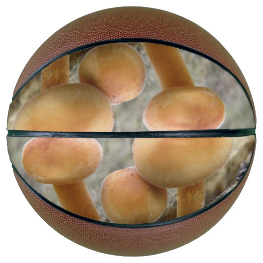 Toadstools op een TRee Trunk Basketball Mini Basketbal (Voorkant)