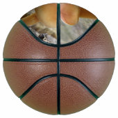 Toadstools op een TRee Trunk Basketball Mini Basketbal (Rechts)