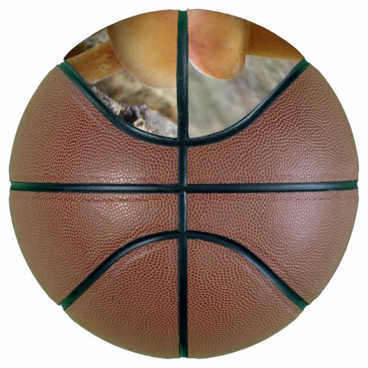 Toadstools op een TRee Trunk Basketball Mini Basketbal (Rechts)