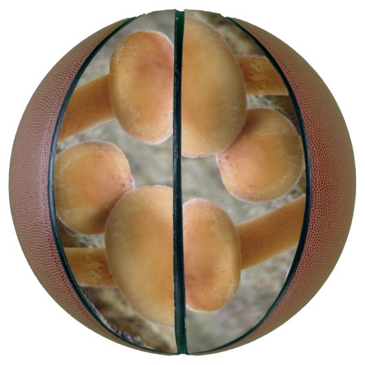 Toadstools op een TRee Trunk Basketball Mini Basketbal (Verticaal)