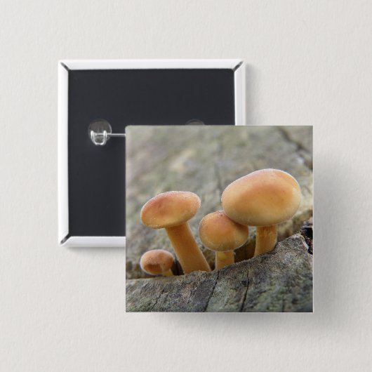 Toadstools op een Tree Trunk Button (Voorkant /achterkant)