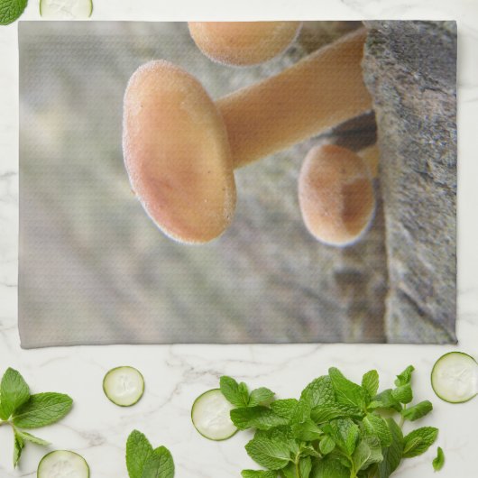 Toadstools op een Tree Trunk Kitchen Towel Theedoek (Gevouwen)