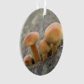 Toadstools op Tree Trunk Acrylornament Ornament (voorkant)