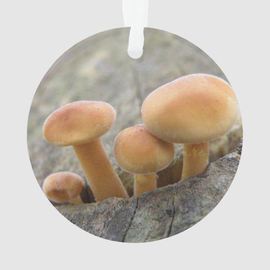 Toadstools op Tree Trunk Acrylornament Ornament (achterkant)