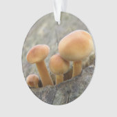 Toadstools op Tree Trunk Acrylornament Ornament (voorkant)