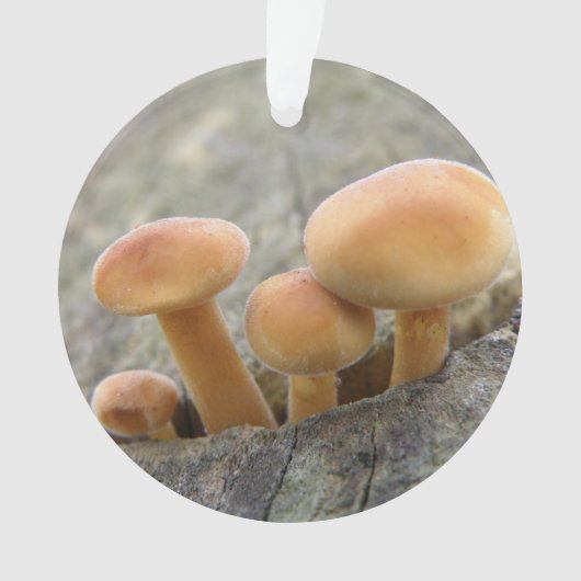 Toadstools op Tree Trunk Acrylornament Ornament (voorkant)