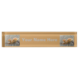 Toadstools op Tree Trunk Custom Name plate Naambordje