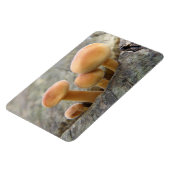 Toadstools op Tree Trunk Flexi Magnet Magneet (Linkerzijde)
