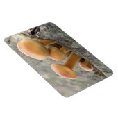 Toadstools op Tree Trunk Flexi Magnet Magneet (Rechterzijde)
