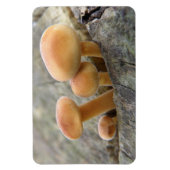 Toadstools op Tree Trunk Flexi Magnet Magneet (Verticaal)