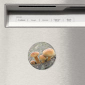 Toadstools op Tree Trunk Magnet (Insitu (Vaatwasser))
