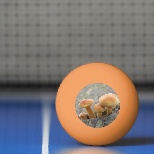Toadstools op Tree Trunk Ping Pong Ball (Net)