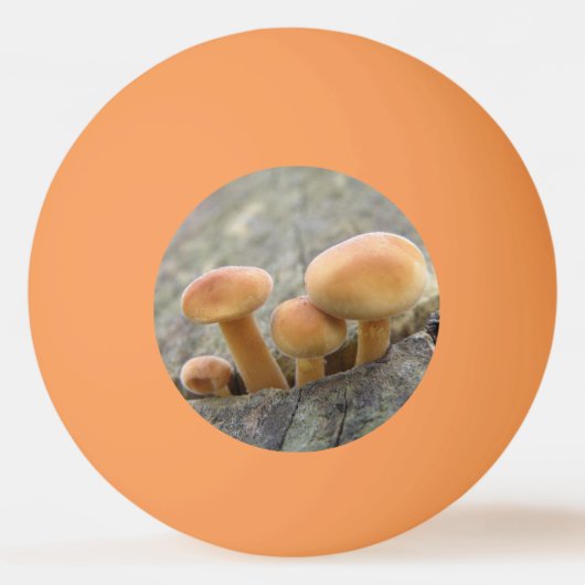 Toadstools op Tree Trunk Ping Pong Ball (Achterkant)