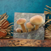 Toadstools op Tree Trunk Plaque Fotoplaat (Zijkant)