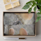 Toadstools op Tree Trunk Tissue Paper Tissuepapier (Geschenk)