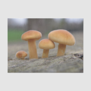 Toadstools voor kleine beeldschermen tissuepapier