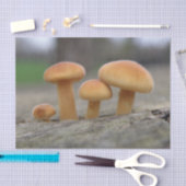 Toadstools voor kleine beeldschermen tissuepapier (Craft)