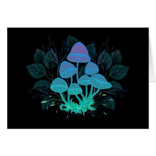 Toadvoorraad in Bushes