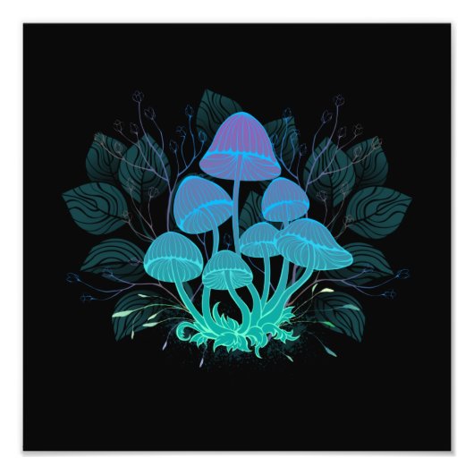 Toadvoorraad in Bushes Foto Afdruk (Voorkant)