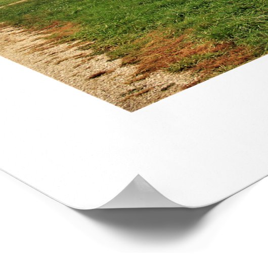 Tobacco Barn Poster (Hoek)