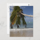 Tobago_-1926 Briefkaart (Voorkant / Achterkant)