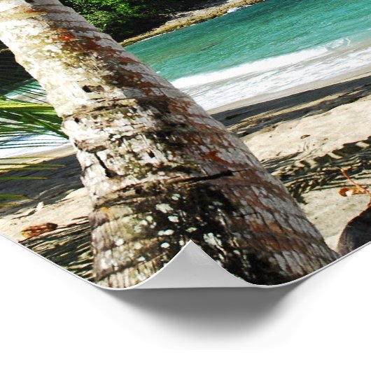 Tobago - eilandparadijs poster (Hoek)