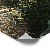 Tobermory, Isle of Mull, Schotland Schilderachtig Poster (Hoek)