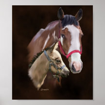 Tobiano Paint Mare en Foal