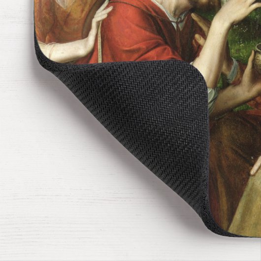 Tobias Curing his Vader's Blindness, 1563 Muismat (Hoek)