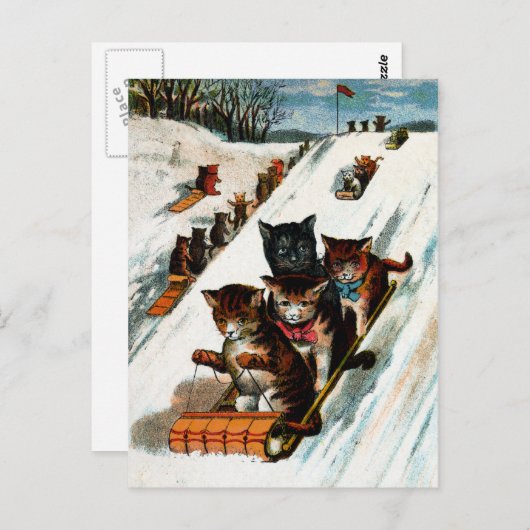  toboggan-katten briefkaart (Voorkant / Achterkant)