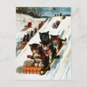  toboggan-katten briefkaart (Voorkant)