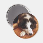 Toby2 Magneet (Voorkant / Achterkant)