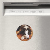 Toby2 Magneet (Insitu (Vaatwasser))