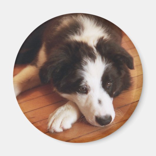 Toby2 Magneet (Voorkant)