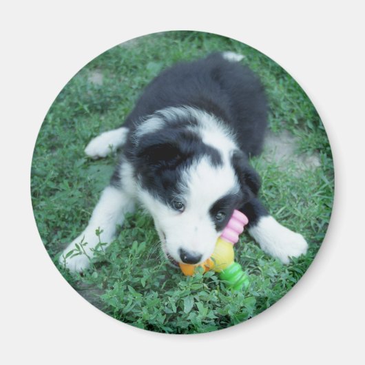 Toby3 Magneet (Voorkant)