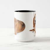 Toby Basset Mok (Midden)