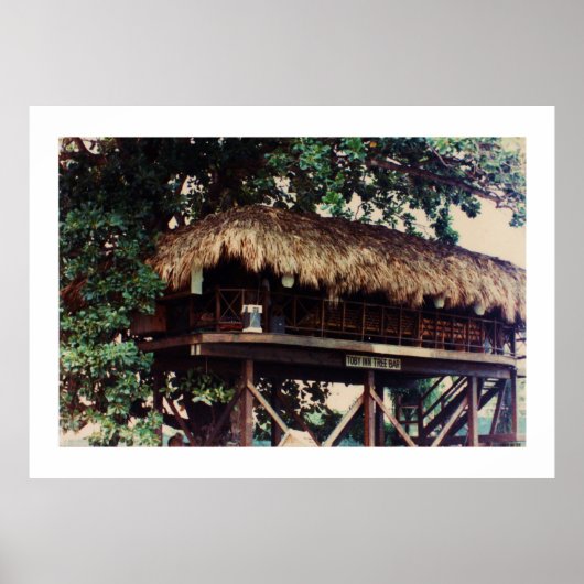 Toby Inn Tree House Bar, Montego Bay, Jamaica Poster (Voorkant)