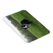 Toby Magneet (Rechterzijde)