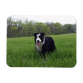 Toby Magneet (Horizontaal)