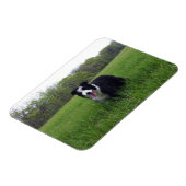 Toby Magneet (Linkerzijde)