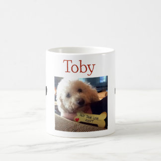 Toby Photo Mok