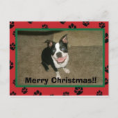 Tobyxmascard, Vrolijk kerstfeest!! Feestdagenkaart (Voorkant)