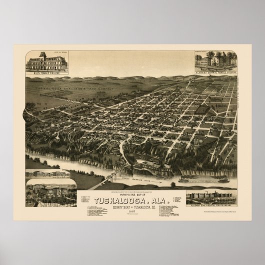 Tocaloosa, AL Panoramische Kaart - 1887 Poster (Voorkant)