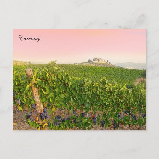 Tocany Italy Stylish Italiaans Villa Vineyard Briefkaart (Voorkant)