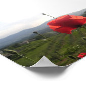 Tocany Poppy Poster (Hoek)