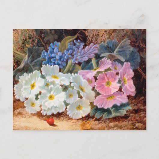 Toch leven van Flowers Oliver Clare 1853 - 1927 Briefkaart (Voorkant)