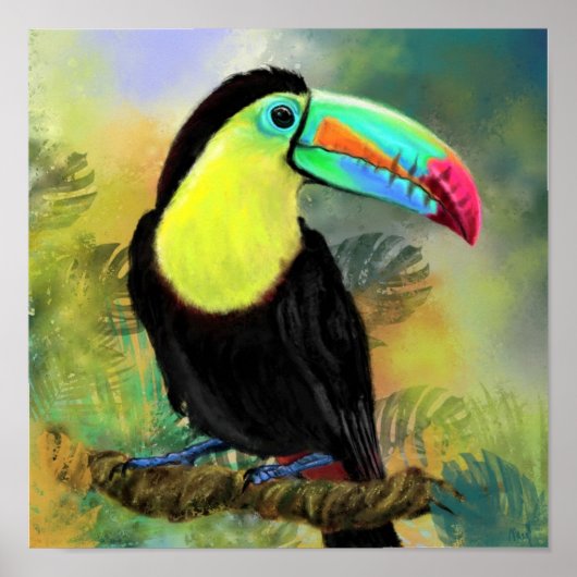 Toco Toekan Vogel Poster Schilderij (Voorkant)