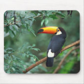 Toco Toucan Bird Mousepad Muismat (Voorkant)