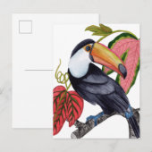Toco Toucan Briefkaart (Voorkant / Achterkant)